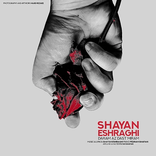 Cover artwork for Daram Az Dast Miram by Shayan Eshraghi